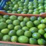 citron vert