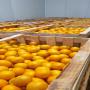 orange maroc late