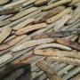 Vente de concombre de mer en poudre 