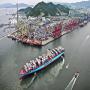 Nous recherchons des bateaux pour d&eacute;mantellement 