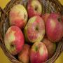 Pomme &agrave; cidre, Coing, Poire, Peche BIO