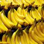 banane fruits