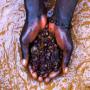 6 tonnes de Coltan disponible a la vente