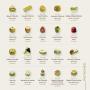 produits P&acirc;tissi&egrave;re traditionnelle 