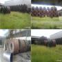 bobines d'aluminium a vendre