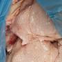    Frozen Chicken Legs Halal / Cuisse de poulet