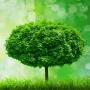 dbutant agronomes qui a les potentiels 