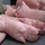 Certifi&eacute;s &agrave; 100% Viande de porc congel&eacute;e 