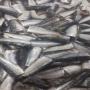 les sardines 