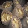 pomme de terre (spunta)