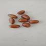 Vente graines bio medicinale et rares 