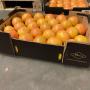 orange washington sanguine standard 