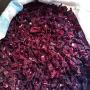Hibiscus origine Soudan