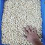 Cashew nuts