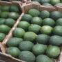  Offre de fruits et l&eacute;gumes saisonniers 