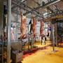 ACHÈTE ABATTOIR BOVINS