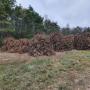 DONNE SOUCHES DE VIGNE EN DEPOT (CHARPENTES)