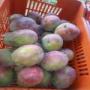 belle mangue de cte d'ivoire
