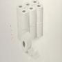 destockage papier toilette & sopalin 