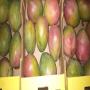 Ventes de fruits et legumes d'Afrique du Sud