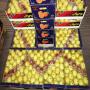 Vente de citron  au maroc 