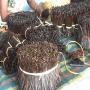  Sell Madagascar Vanilla Beans 