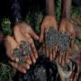 COLTAN A VENDRE