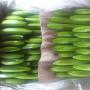 Cavendish banane