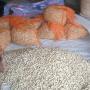 Arachide frais