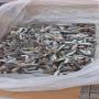 25 tons of blue crab claw