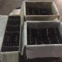 Wholesale Madagascar Vanilla Beans  