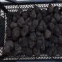 Truffes fra&icirc;ches Aestivum 