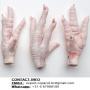 <b>frozen</b> chicken paws supplier | grade