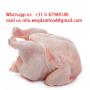  Wholesale Frozen Chicken for sale 