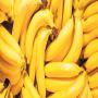 banane de bonne qualit&eacute;