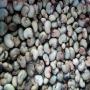 <b>cashew</b> nuts