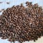 huile de pepin de raisin bio