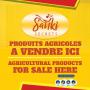 Produits Agricoles 100% Camerounais