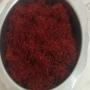 Saffron morocco 