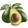 Avocat frais du Maroc, nouvelle r&eacute;colte 
