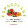 CLIENTS DE FRUITS-LEGUMES-AGRUMES-VOLAILLE-POISS