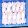 FROZEN CHICKEN