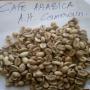 Caf&eacute; arabica et robusta disponible