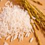 A vendre Riz thaïlandais &agrave; grande quantit&eacute;