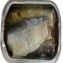 CONCERVES DE SARDINE