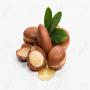 Huiles argan ricin avocat chanvre