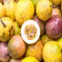 Fruit de passion (grenadille) disponible 