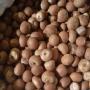 Agro FOOD SUPPLY OF ALL BRAND