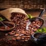 CASHEW AND BETEL NUTS, AND AGRO PRODUCE FOR SALE