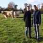 Vente carcasse de boeuf fran&ccedil;aise